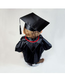 Monchhichi 畢業男孩 (45cm)